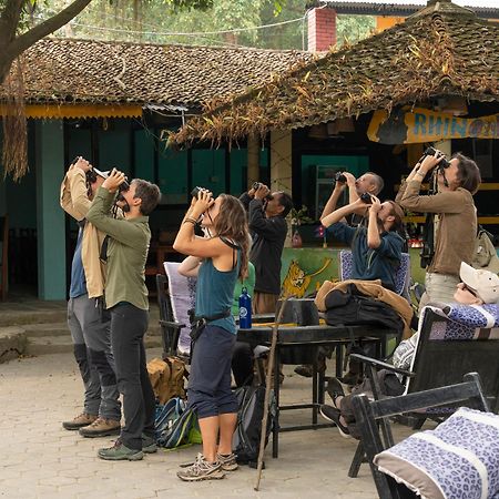 Chitwan Gaida Lodge - Animal Lovers & Birdwatchers Paradise Sauraha Ngoại thất bức ảnh