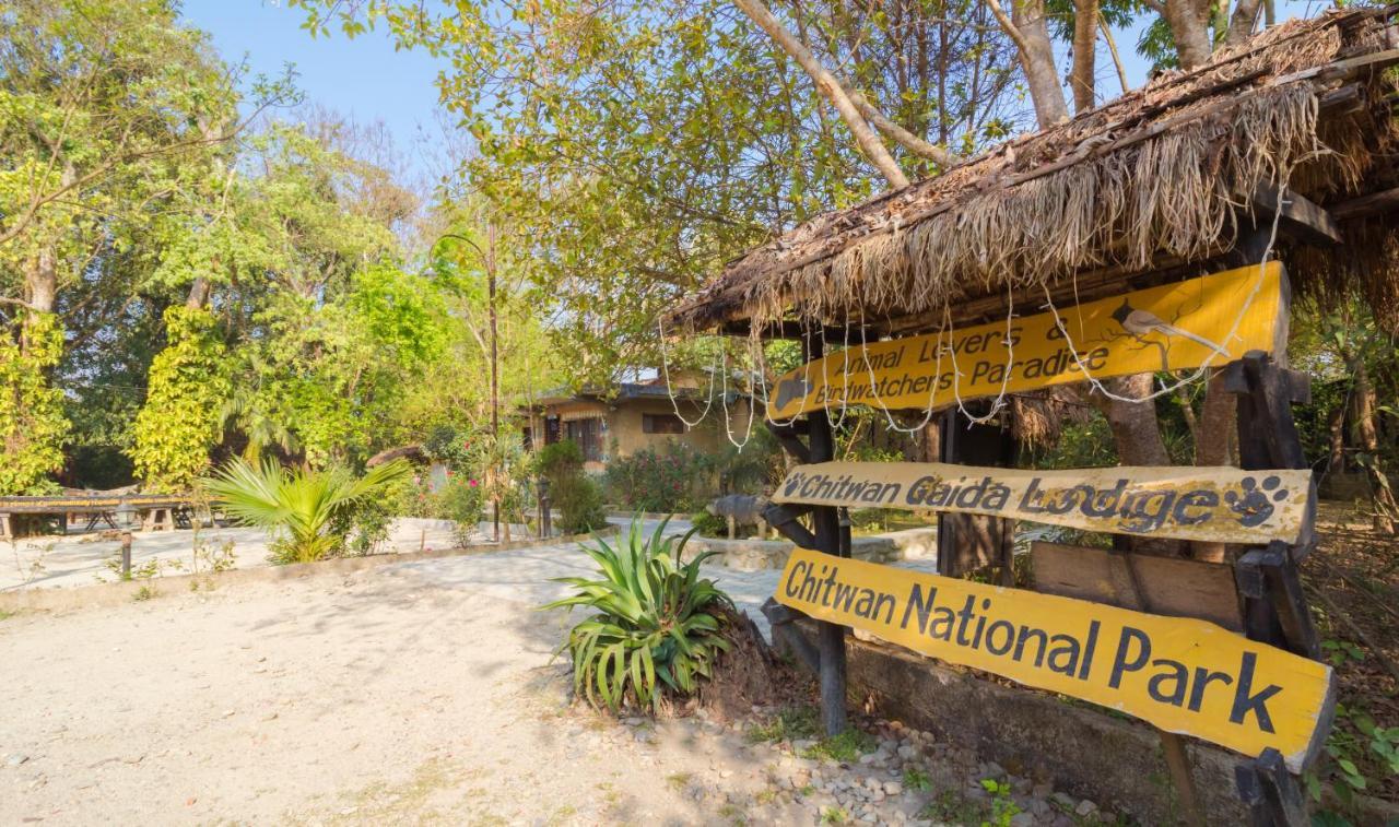 Chitwan Gaida Lodge - Animal Lovers & Birdwatchers Paradise Sauraha Ngoại thất bức ảnh