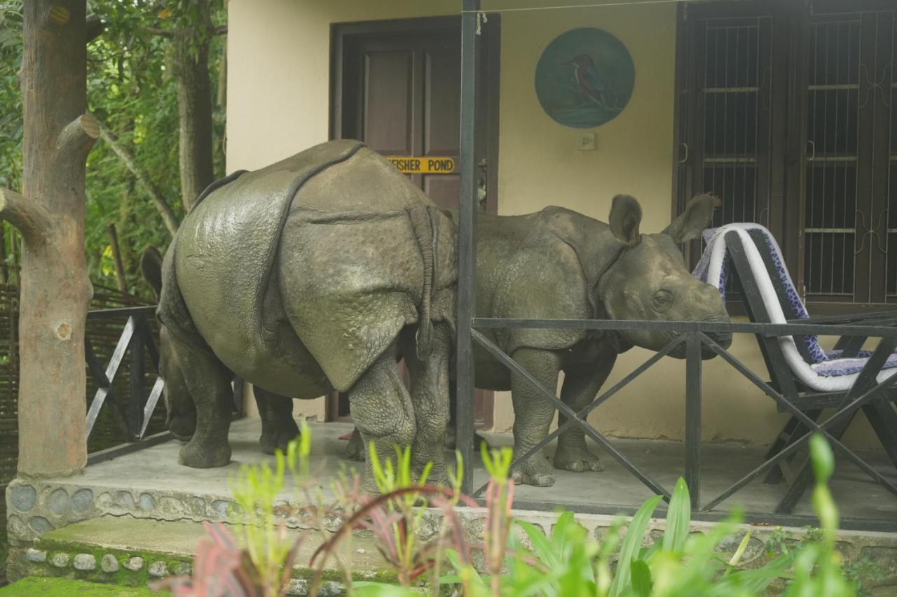 Chitwan Gaida Lodge - Animal Lovers & Birdwatchers Paradise Sauraha Ngoại thất bức ảnh