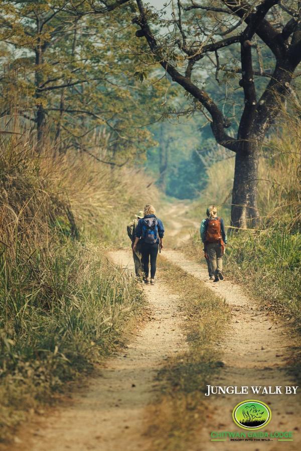 Chitwan Gaida Lodge - Animal Lovers & Birdwatchers Paradise Sauraha Ngoại thất bức ảnh