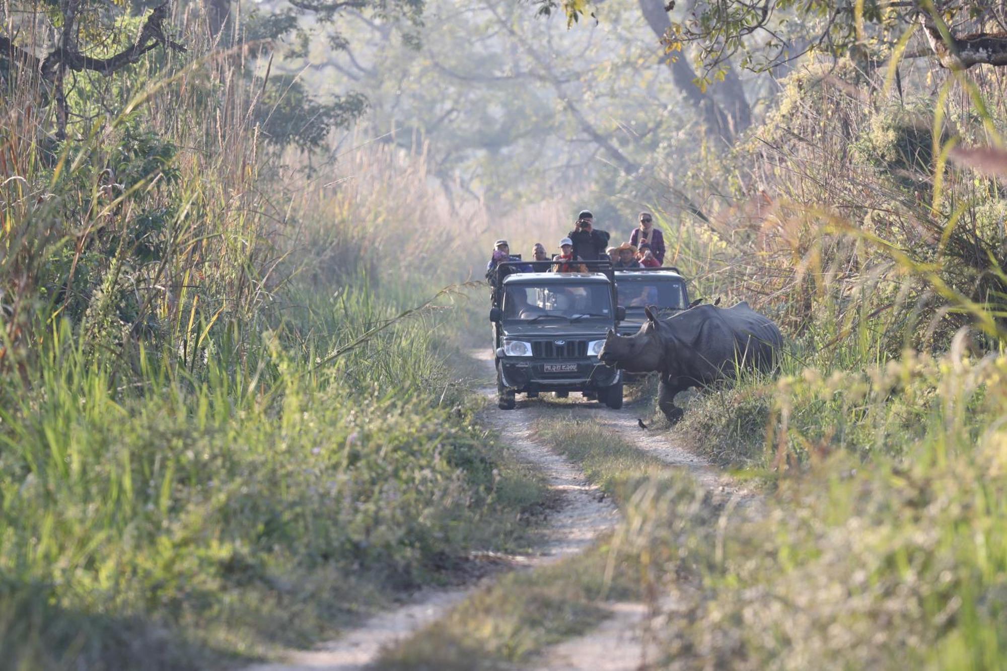 Chitwan Gaida Lodge - Animal Lovers & Birdwatchers Paradise Sauraha Ngoại thất bức ảnh