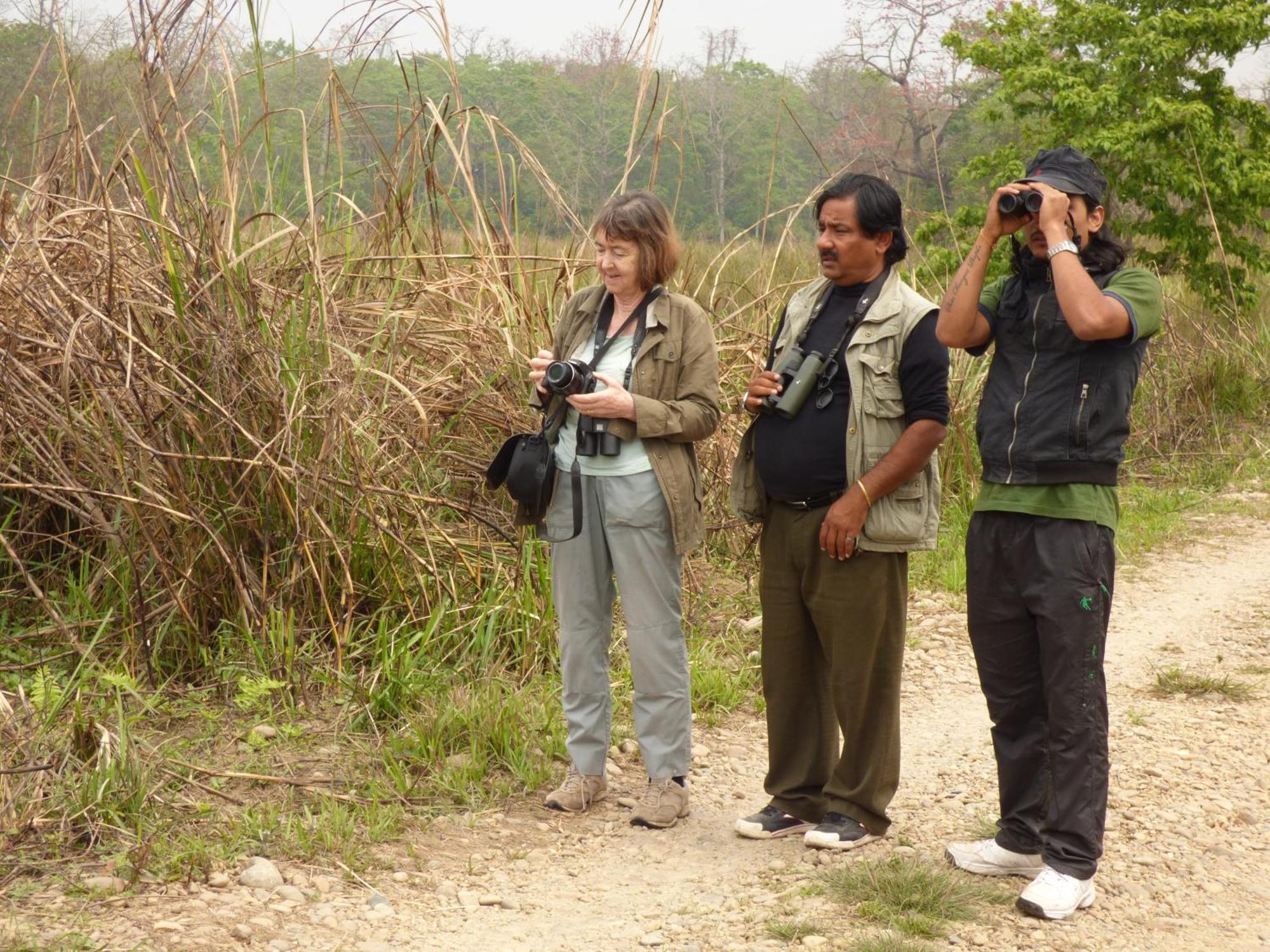 Chitwan Gaida Lodge - Animal Lovers & Birdwatchers Paradise Sauraha Ngoại thất bức ảnh