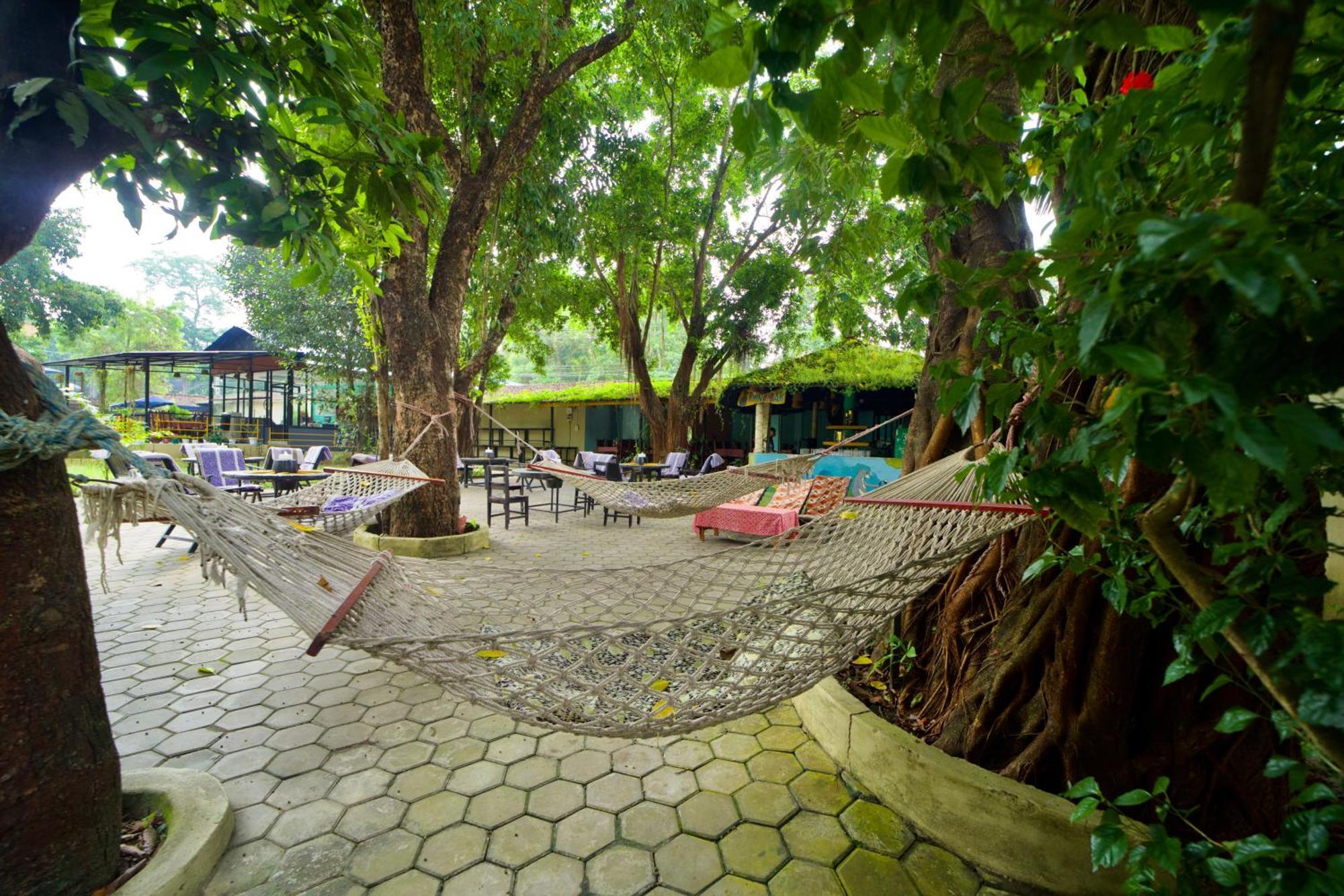 Chitwan Gaida Lodge - Animal Lovers & Birdwatchers Paradise Sauraha Ngoại thất bức ảnh