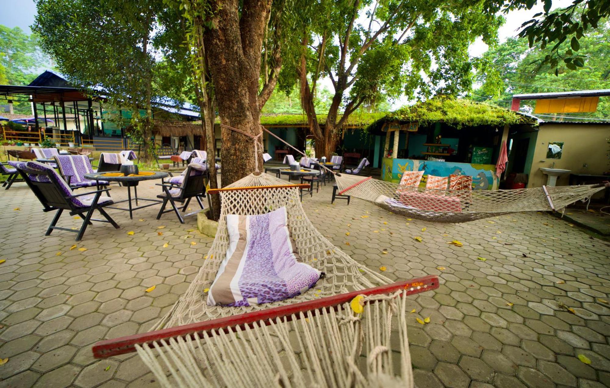 Chitwan Gaida Lodge - Animal Lovers & Birdwatchers Paradise Sauraha Ngoại thất bức ảnh